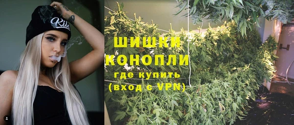 экстази Арсеньев