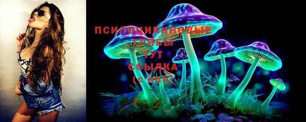 экстази Арсеньев