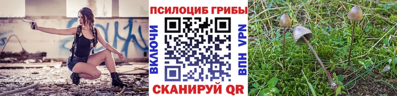 Галлюциногенные грибы мицелий  хочу наркоту  Валдай 